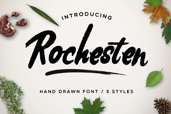 Rochesten: Where Forest Whispers Shape Digital Letterforms
