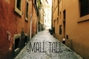 Small Tall: The Classy Display Font Redefining Typography for Modern Creatives