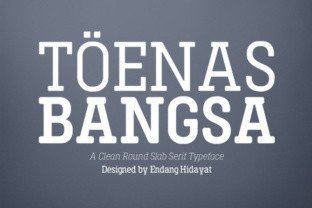Toenas Bangsa Slab: Merging Modern Minimalism with Rounded Serif Readability